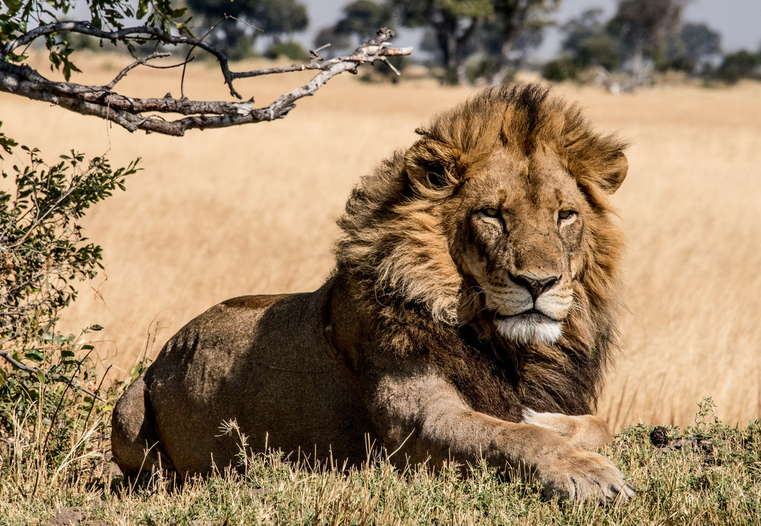 Photography Highlights