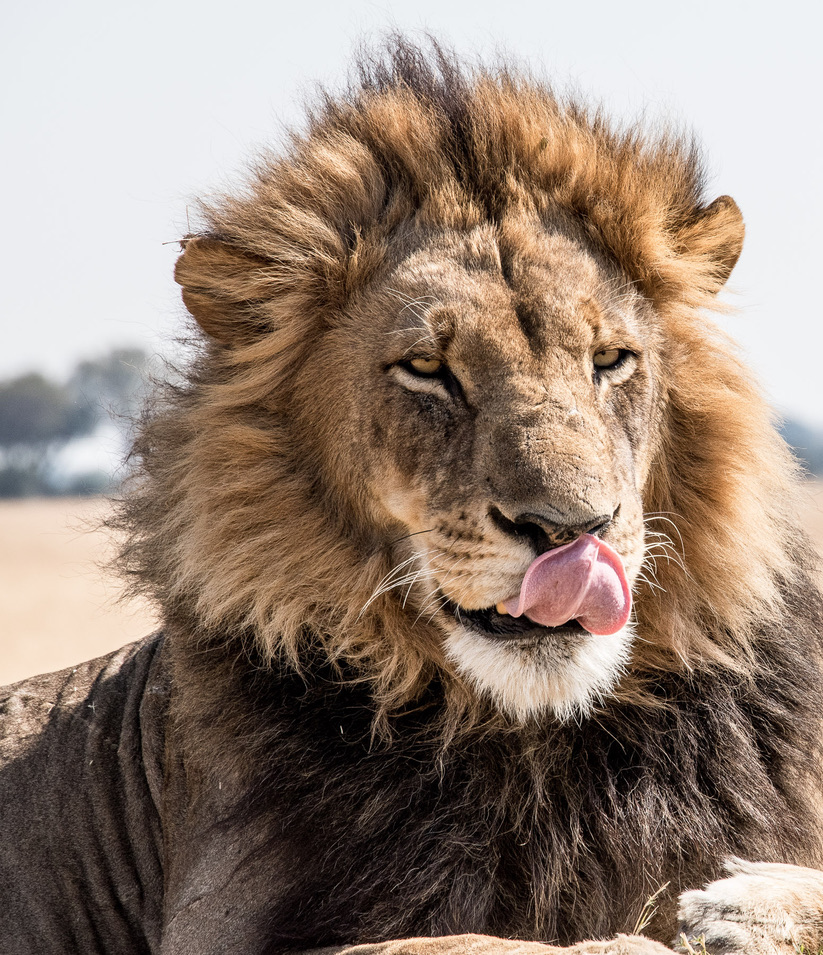 Photography Highlights - Image 10