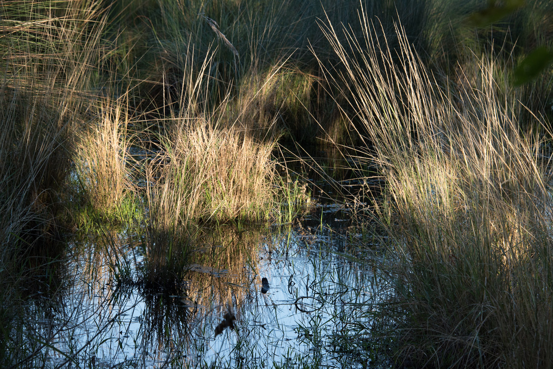 Photography Highlights - Image 11