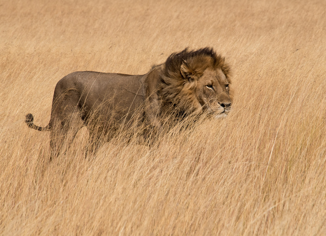 Photography Highlights - Image 12