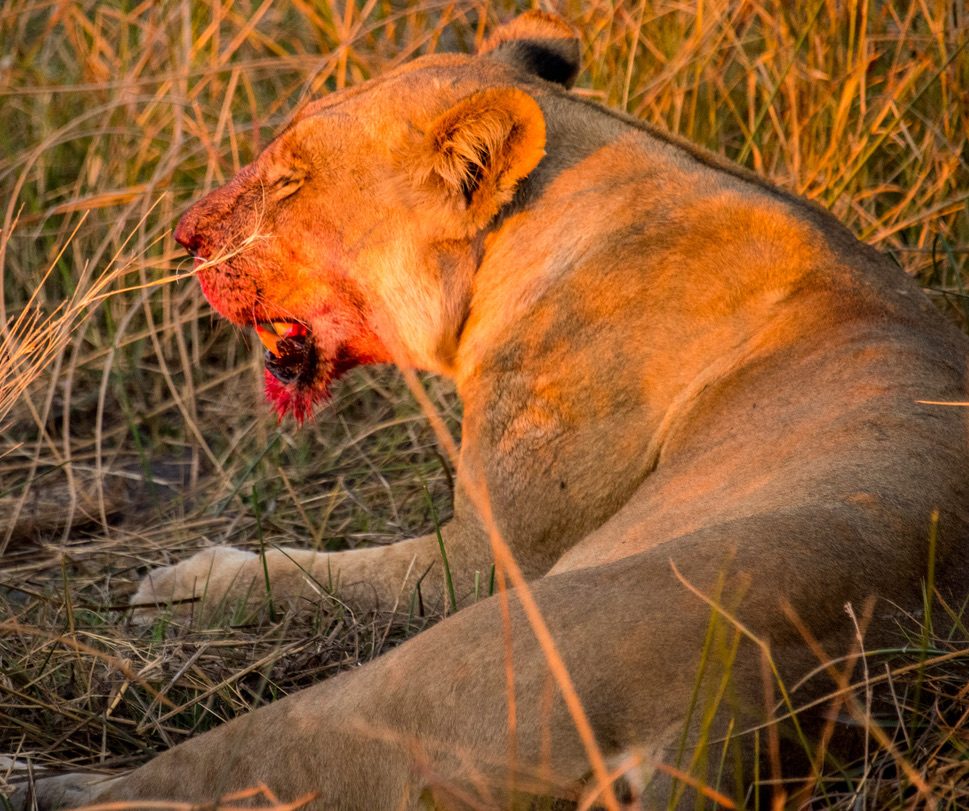 Photography Highlights - Image 13