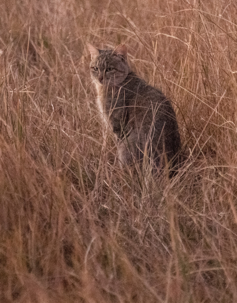 Photography Highlights - Image 14