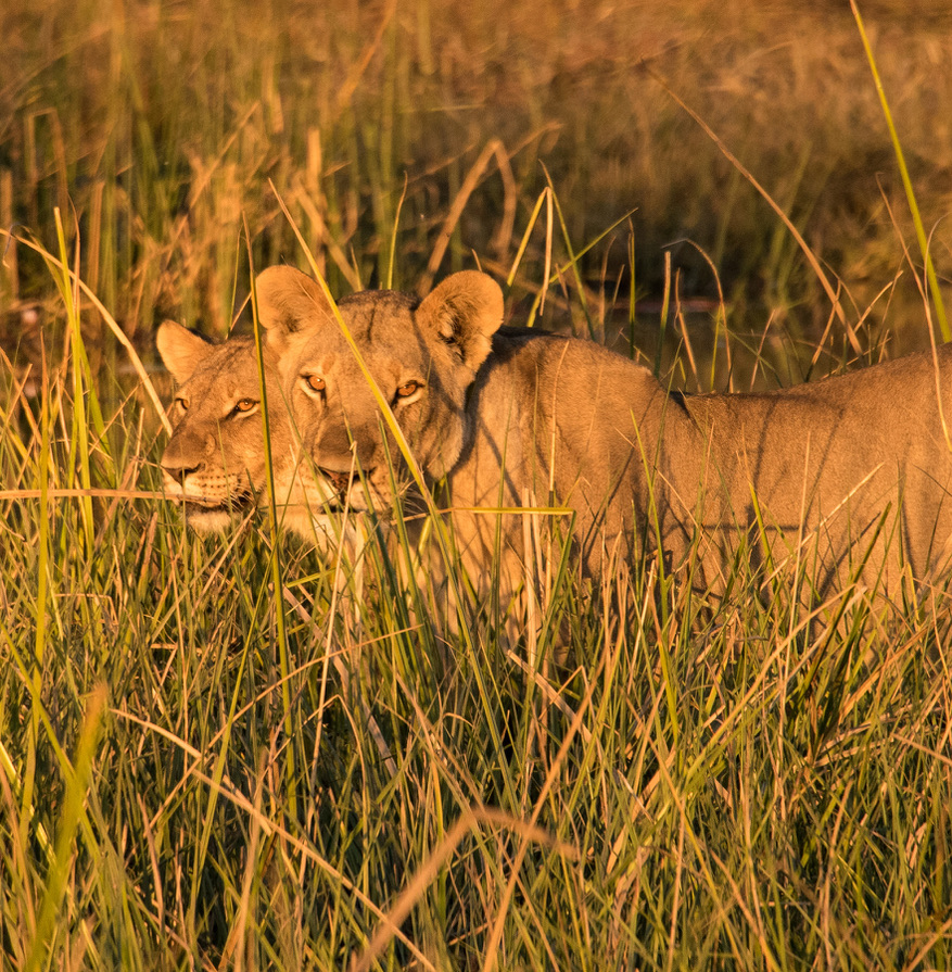 Photography Highlights - Image 15