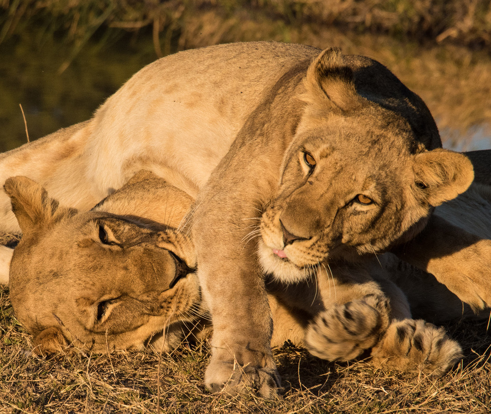 Photography Highlights - Image 16