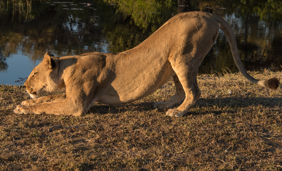 Photography Highlights - Image 17