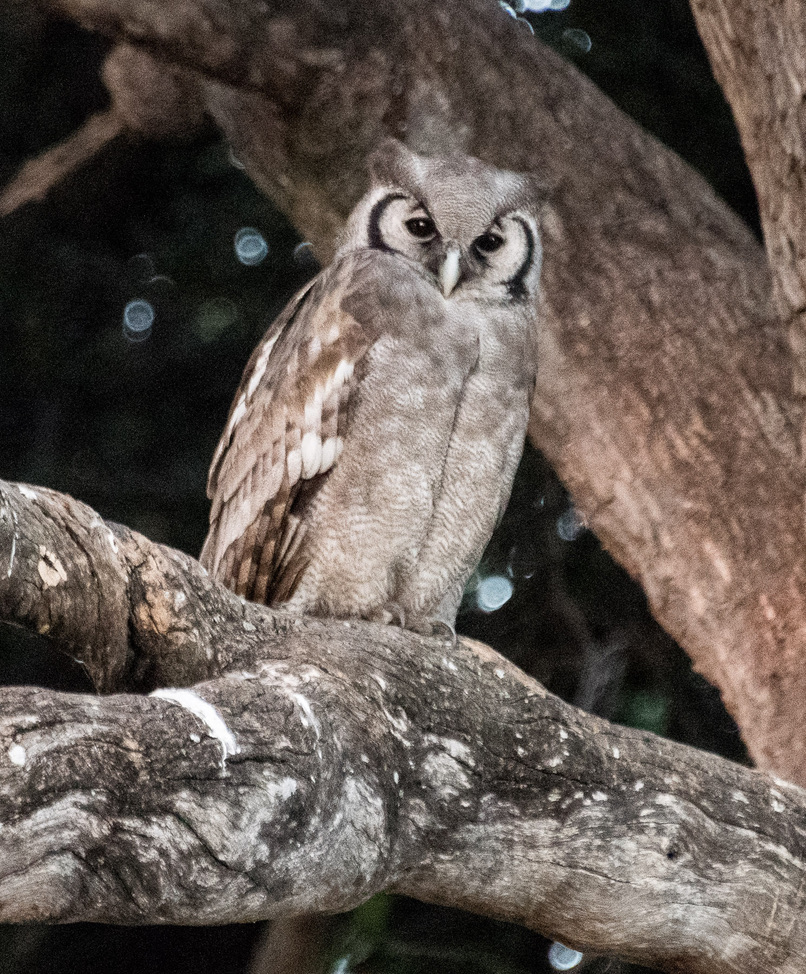 Photography Highlights - Image 18