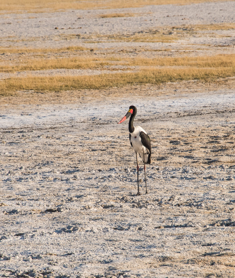 Photography Highlights - Image 19