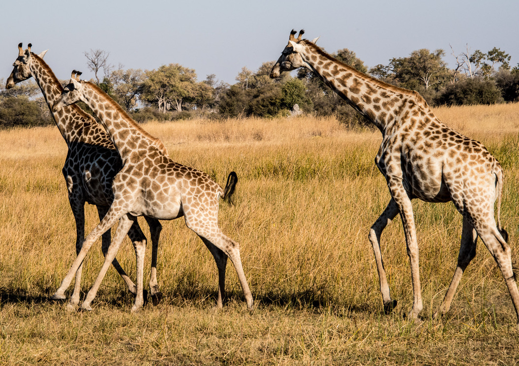 Photography Highlights - Image 2