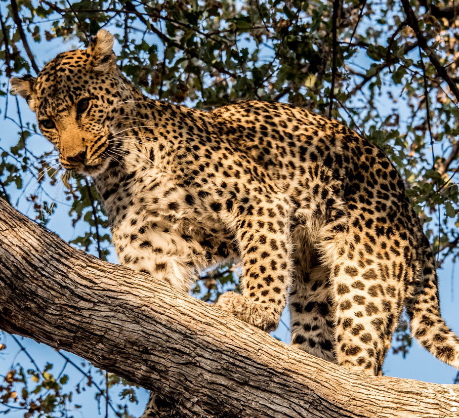 Photography Highlights - Image 20