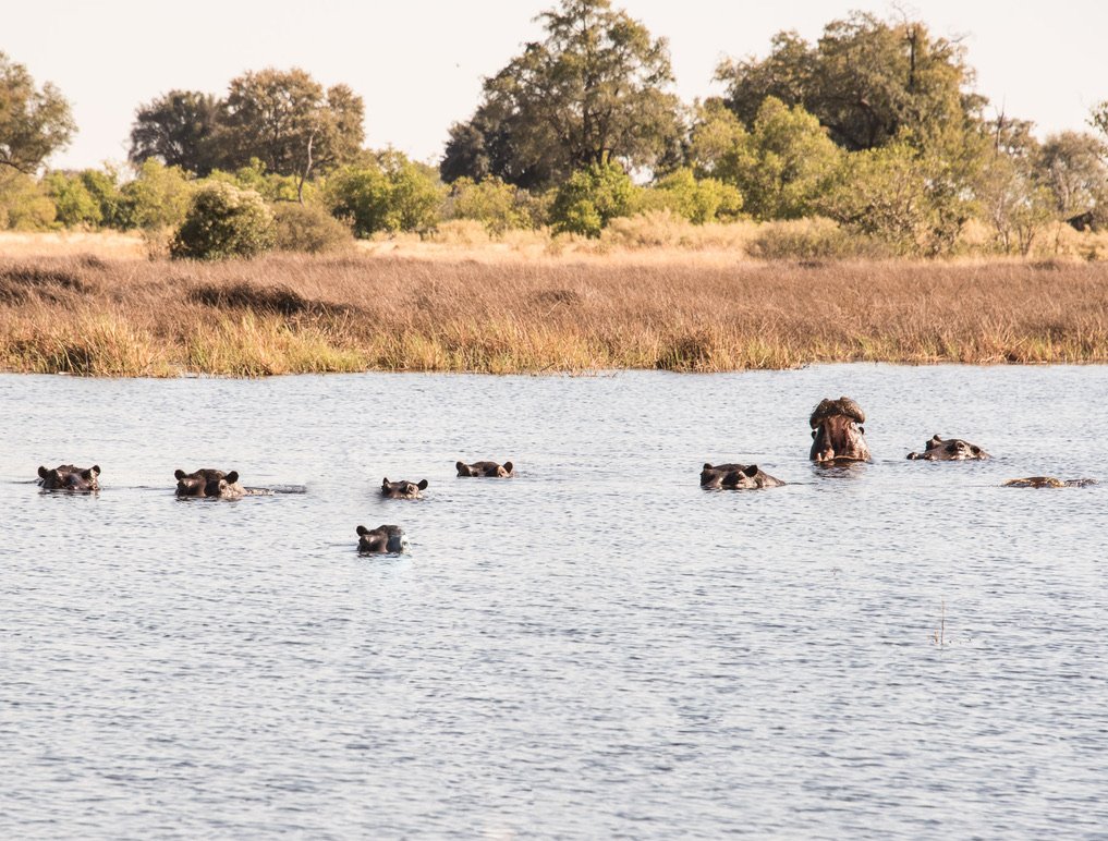 Photography Highlights - Image 21