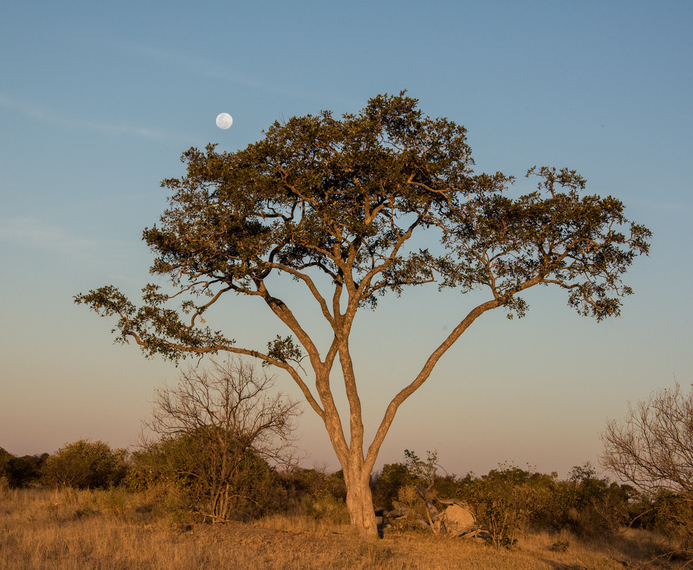 Photography Highlights - Image 22