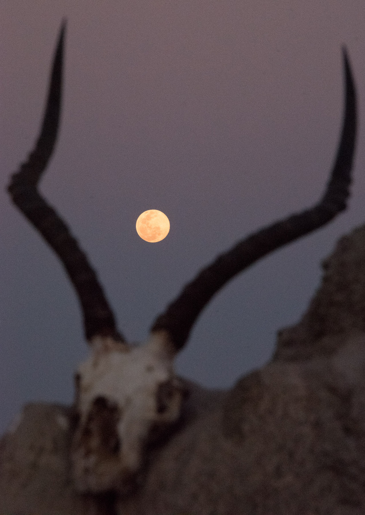 Photography Highlights - Image 23