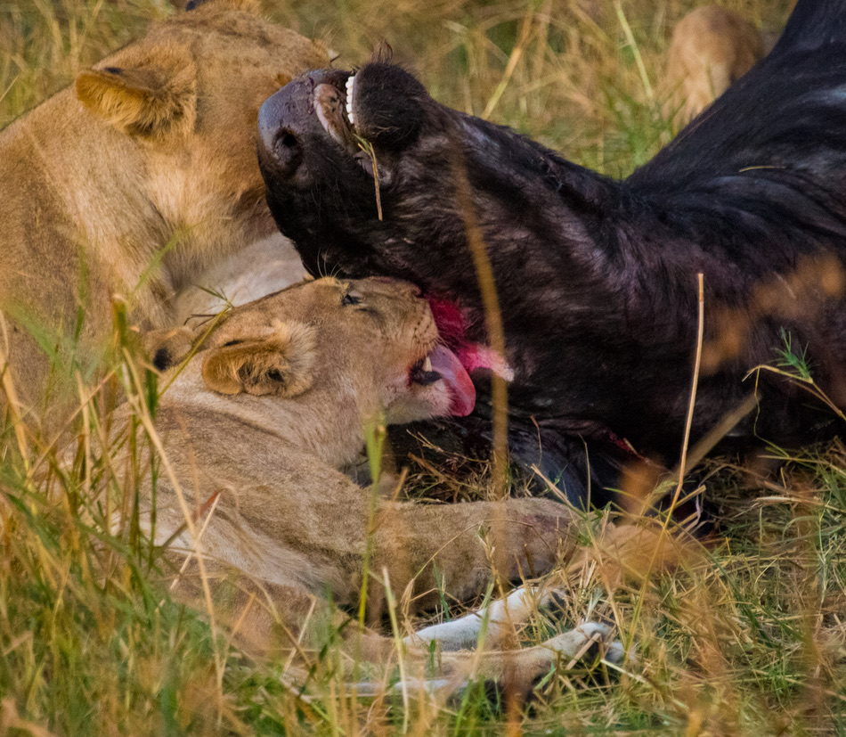 Photography Highlights - Image 24