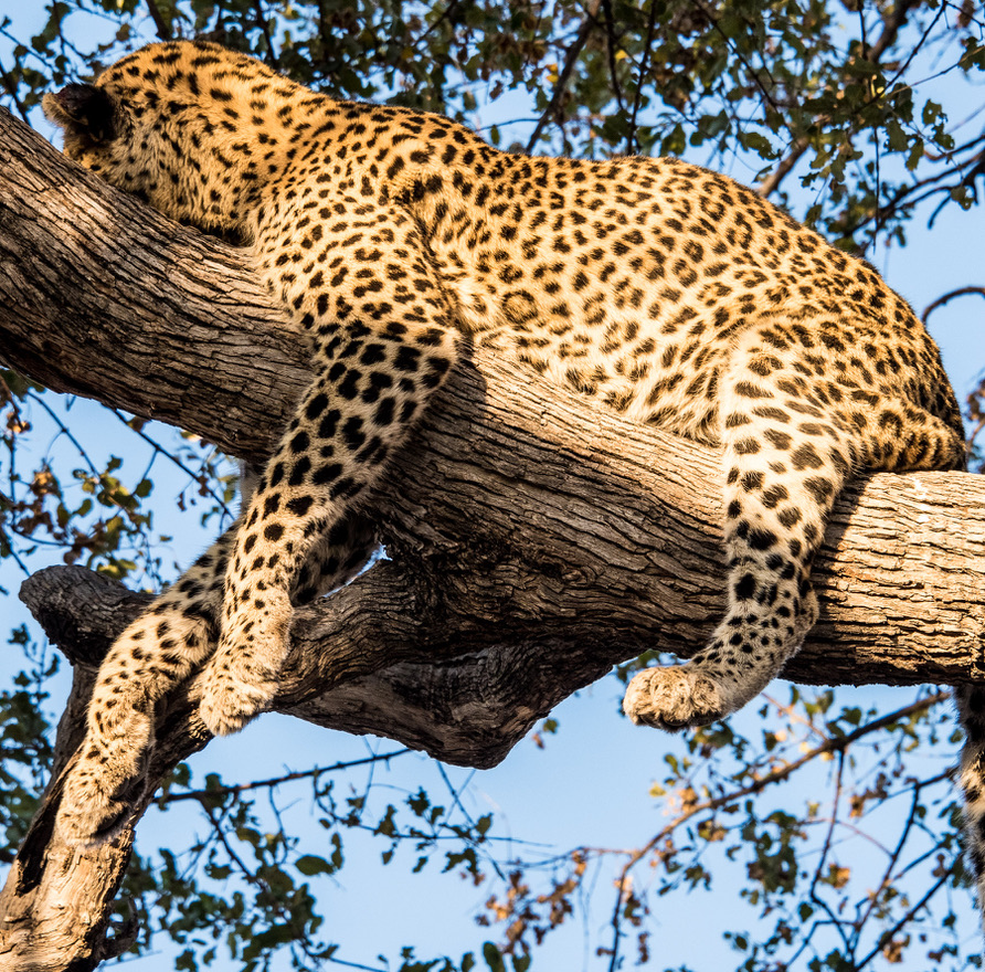 Photography Highlights - Image 25