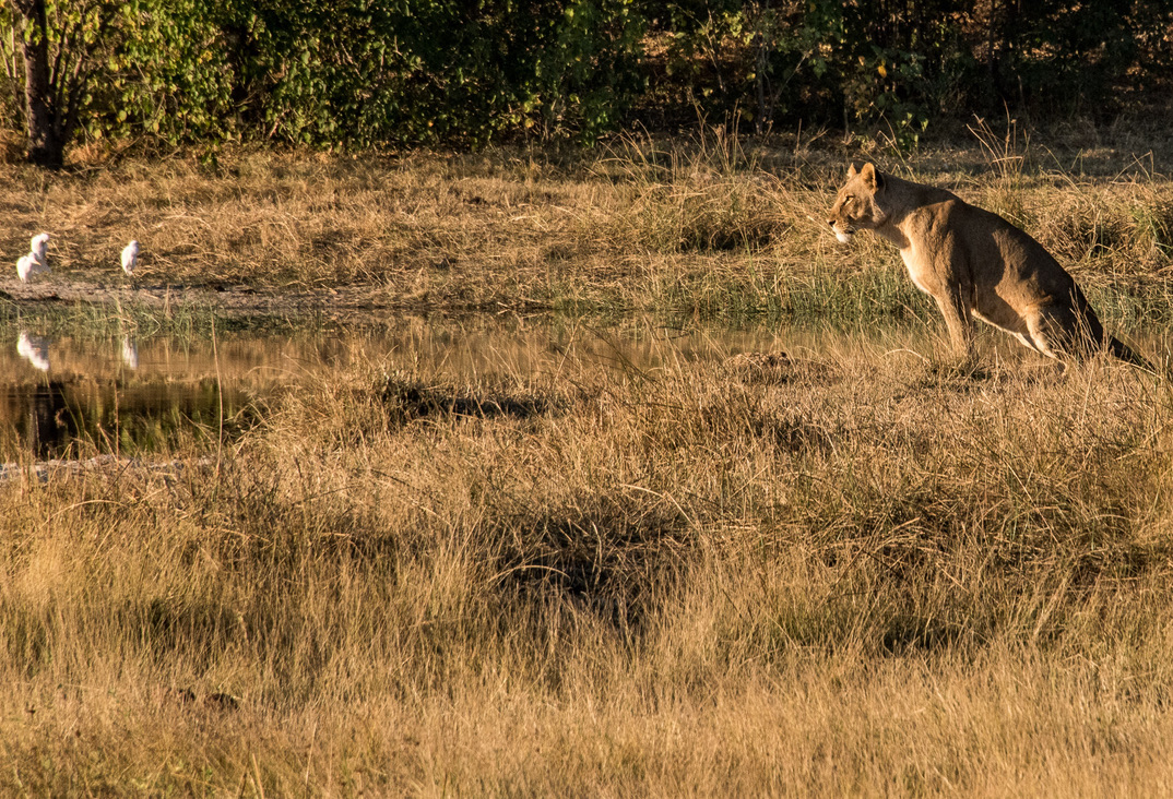 Photography Highlights - Image 26