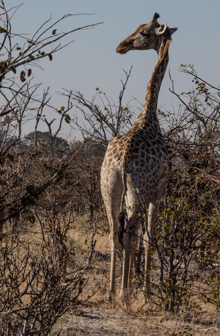 Photography Highlights - Image 27