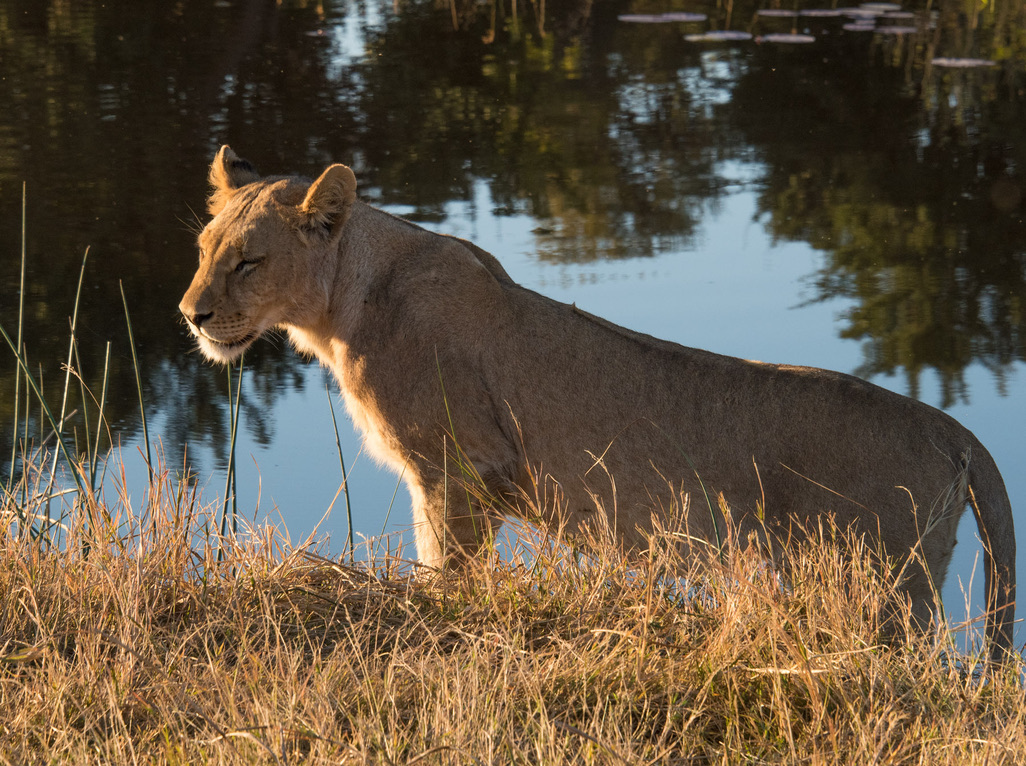 Photography Highlights - Image 28