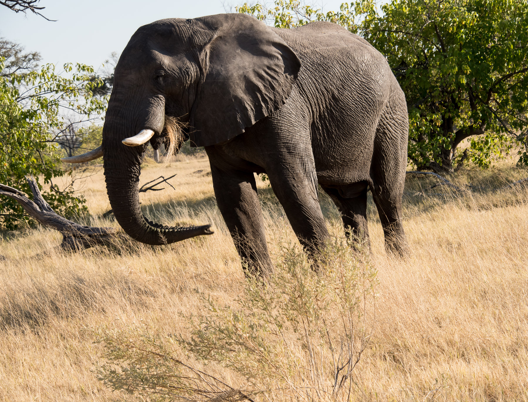 Photography Highlights - Image 29