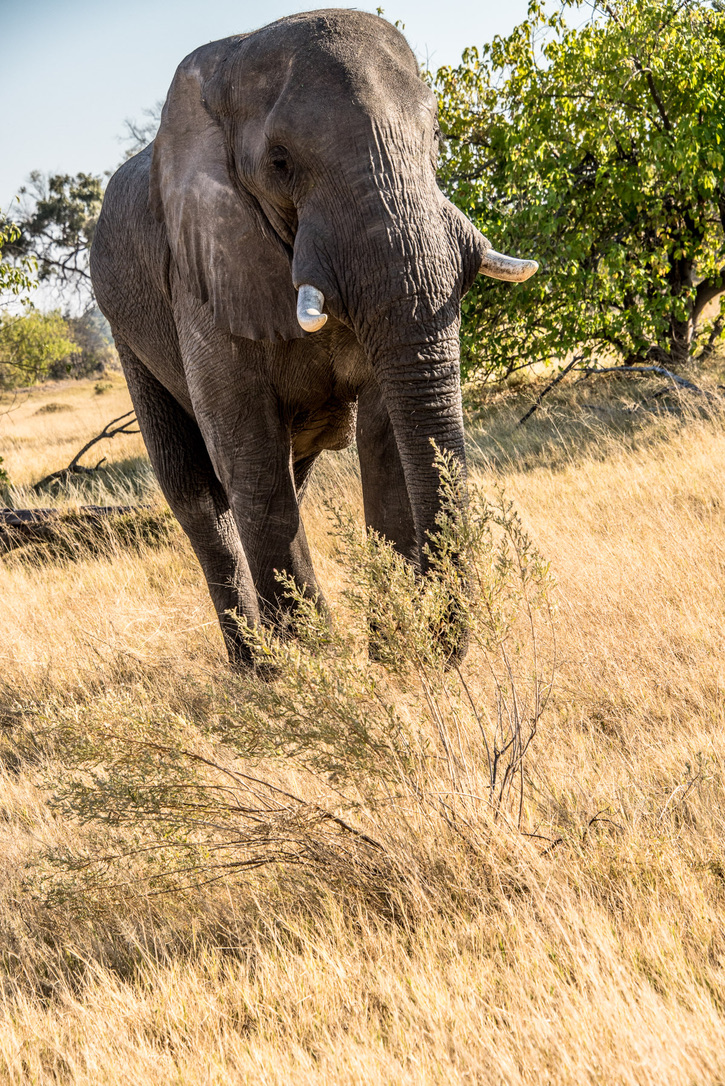 Photography Highlights - Image 3