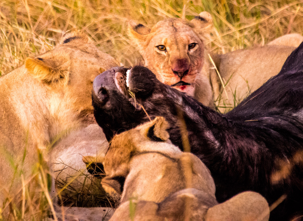 Photography Highlights - Image 30