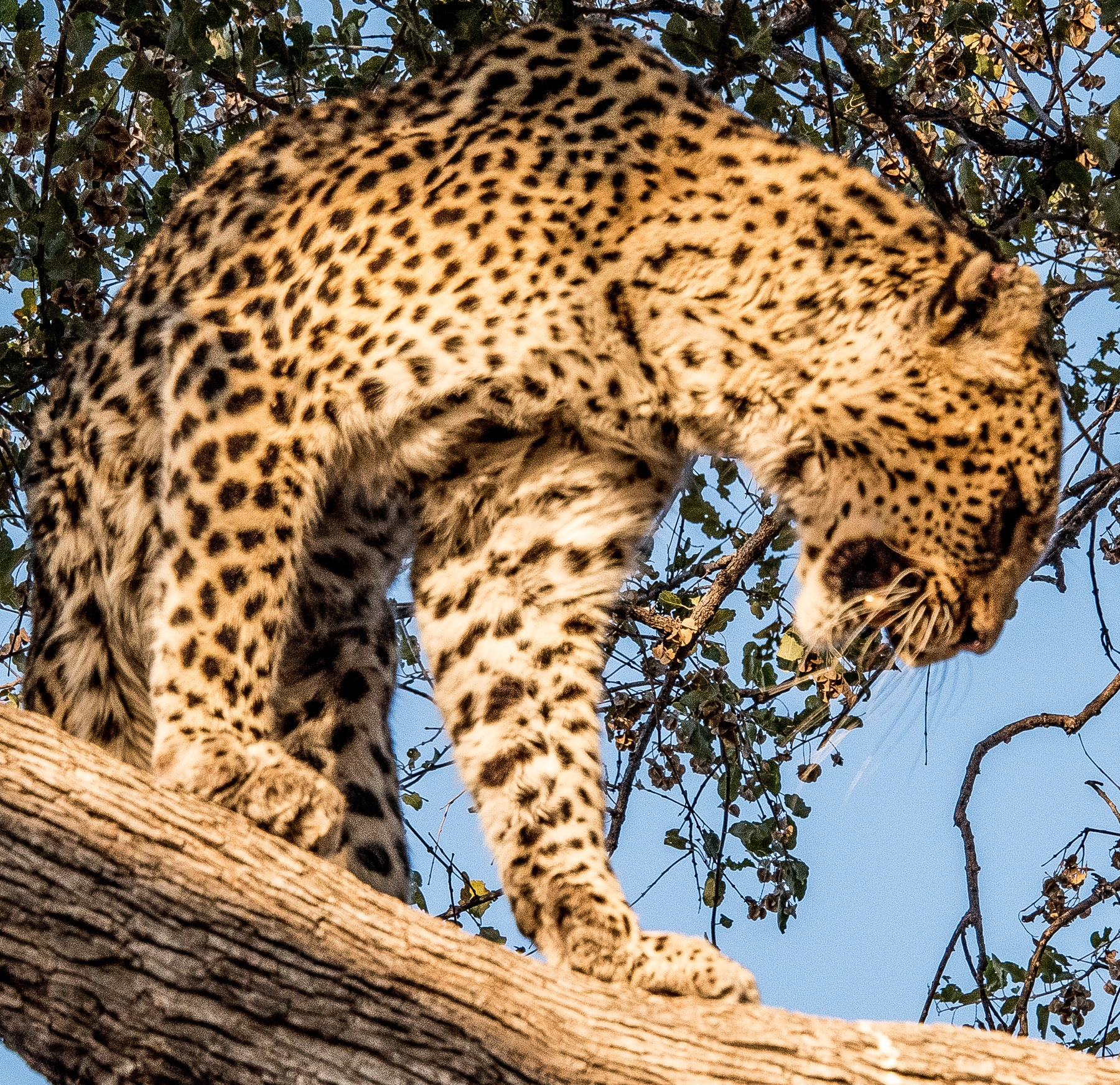 Photography Highlights - Image 31