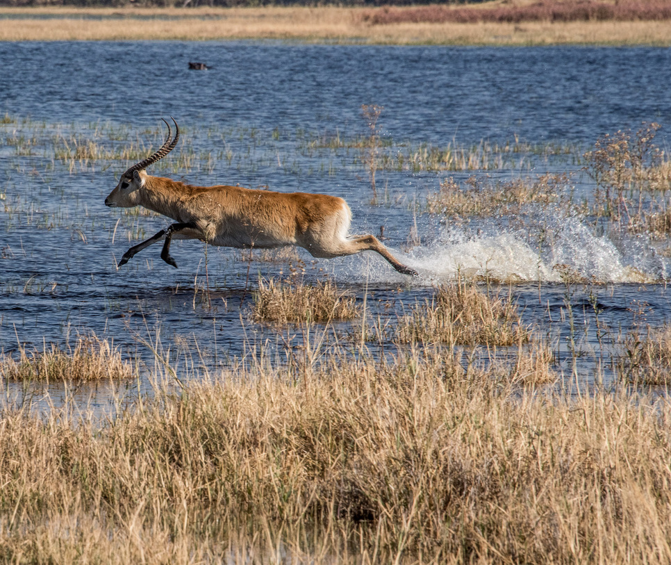 Photography Highlights - Image 32