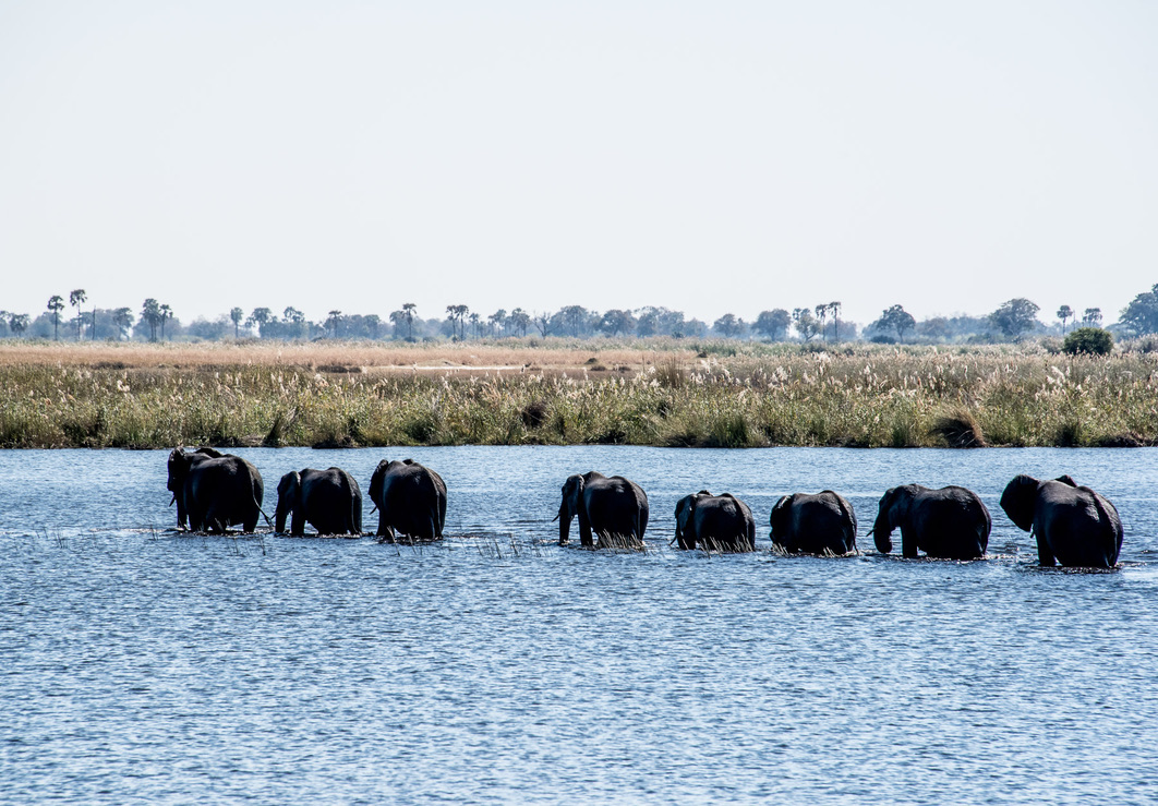 Photography Highlights - Image 33