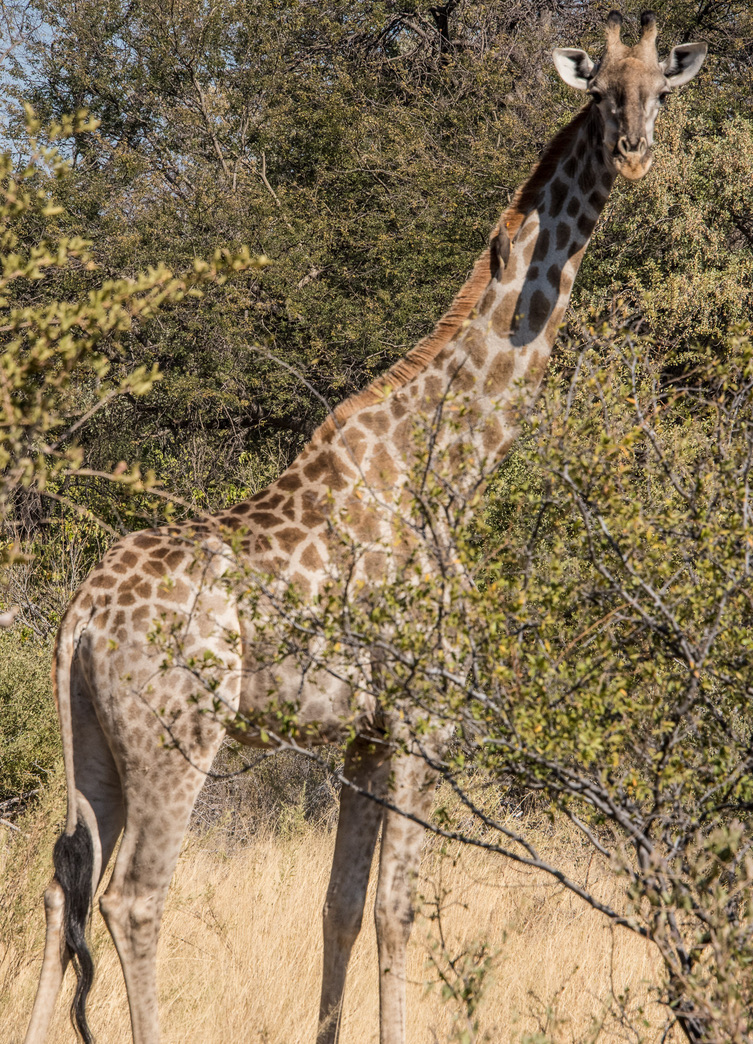 Photography Highlights - Image 34