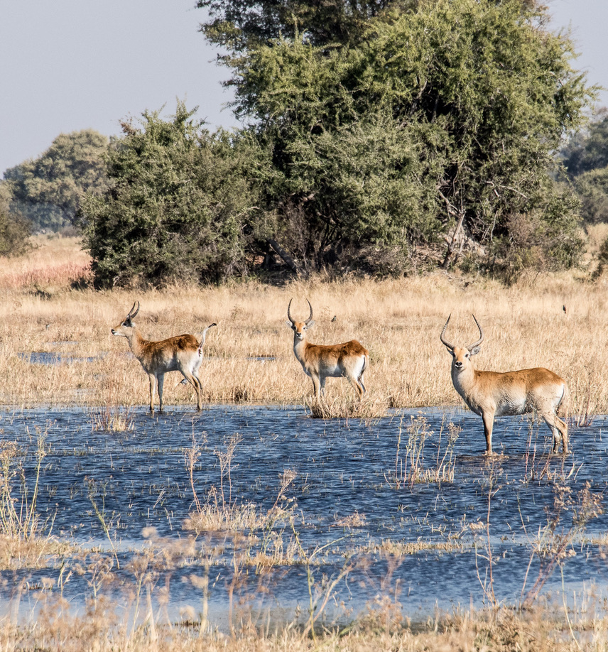 Photography Highlights - Image 35