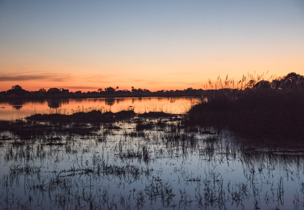 Photography Highlights - Image 36