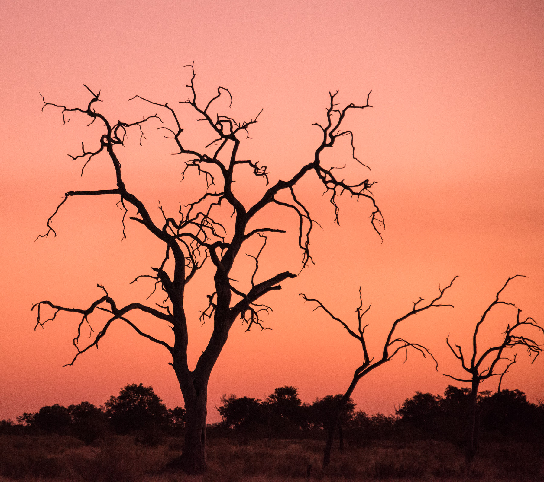 Photography Highlights - Image 37