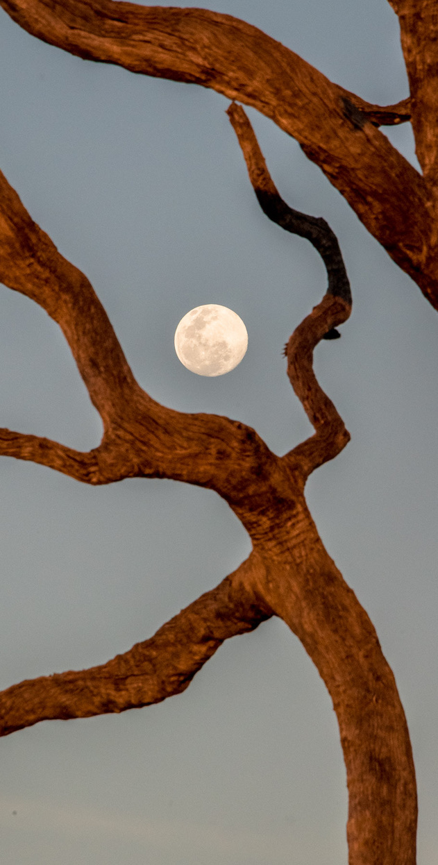 Photography Highlights - Image 38