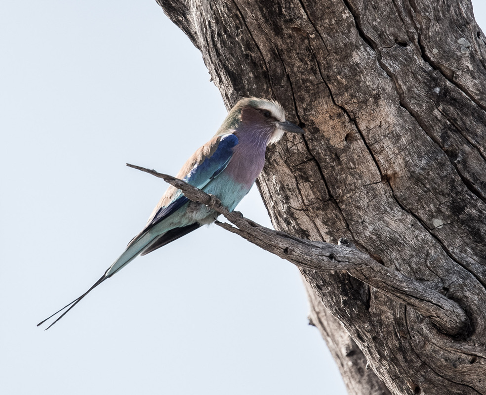 Photography Highlights - Image 39