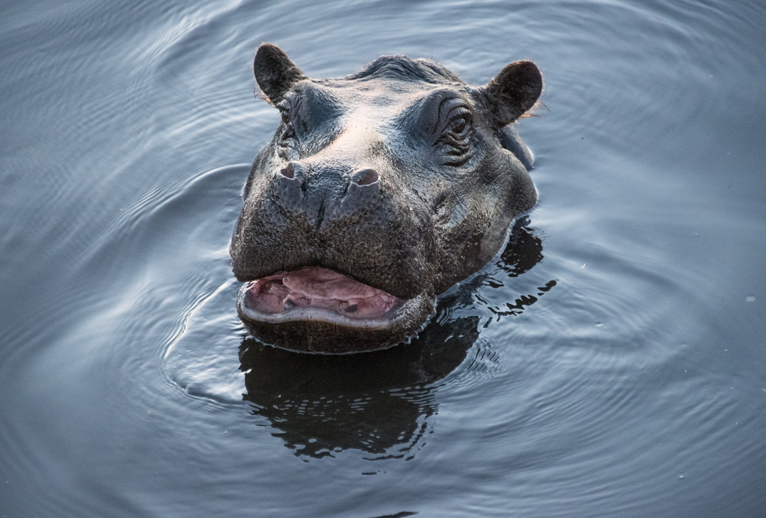 Photography Highlights - Image 4