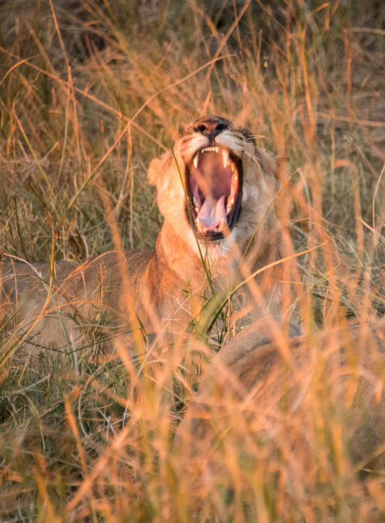 Photography Highlights - Image 40