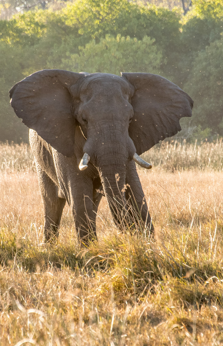 Photography Highlights - Image 41