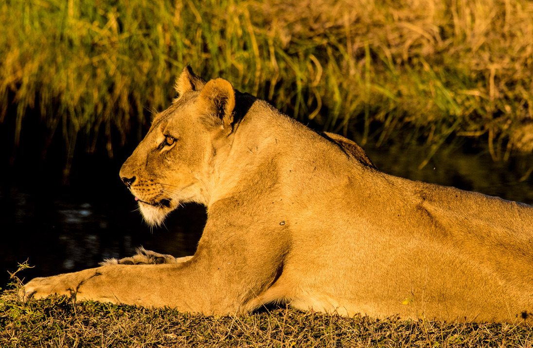 Photography Highlights - Image 42