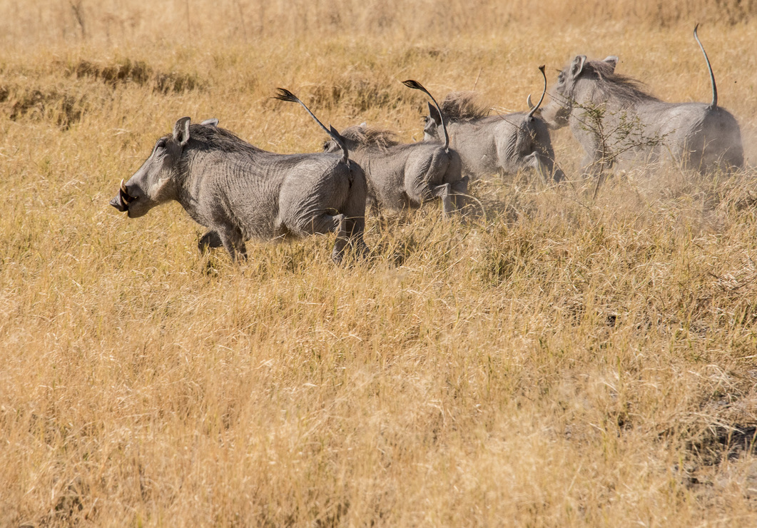 Photography Highlights - Image 43