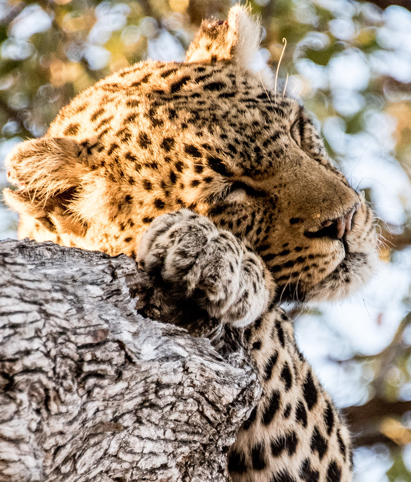 Photography Highlights - Image 44