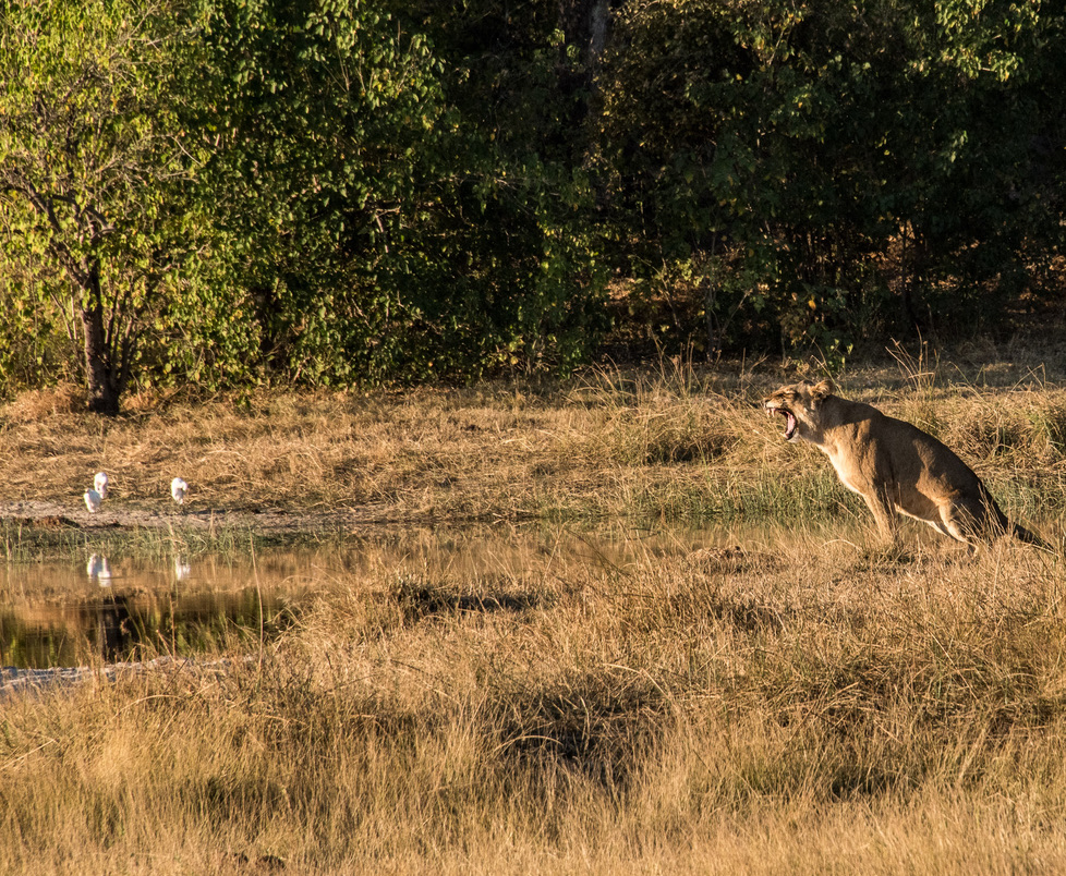 Photography Highlights - Image 45