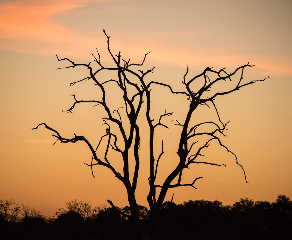 Photography Highlights - Image 46