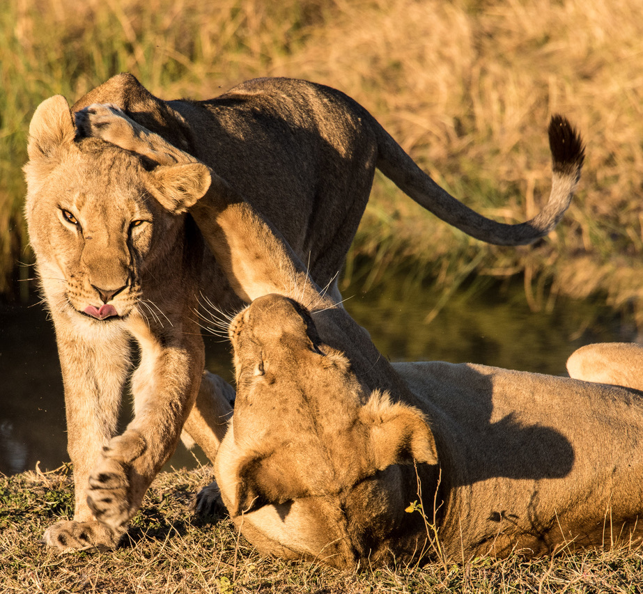 Photography Highlights - Image 5