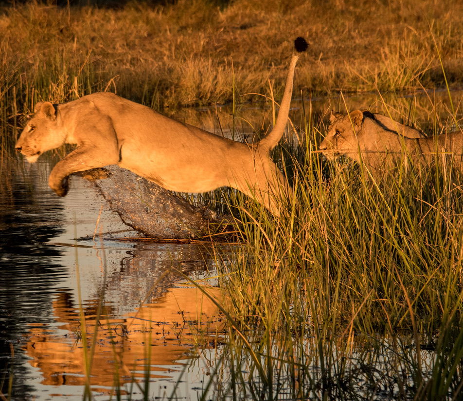 Photography Highlights - Image 6