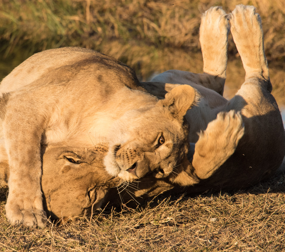 Photography Highlights - Image 7