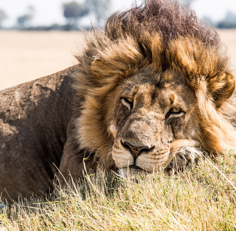 Photography Highlights - Image 8