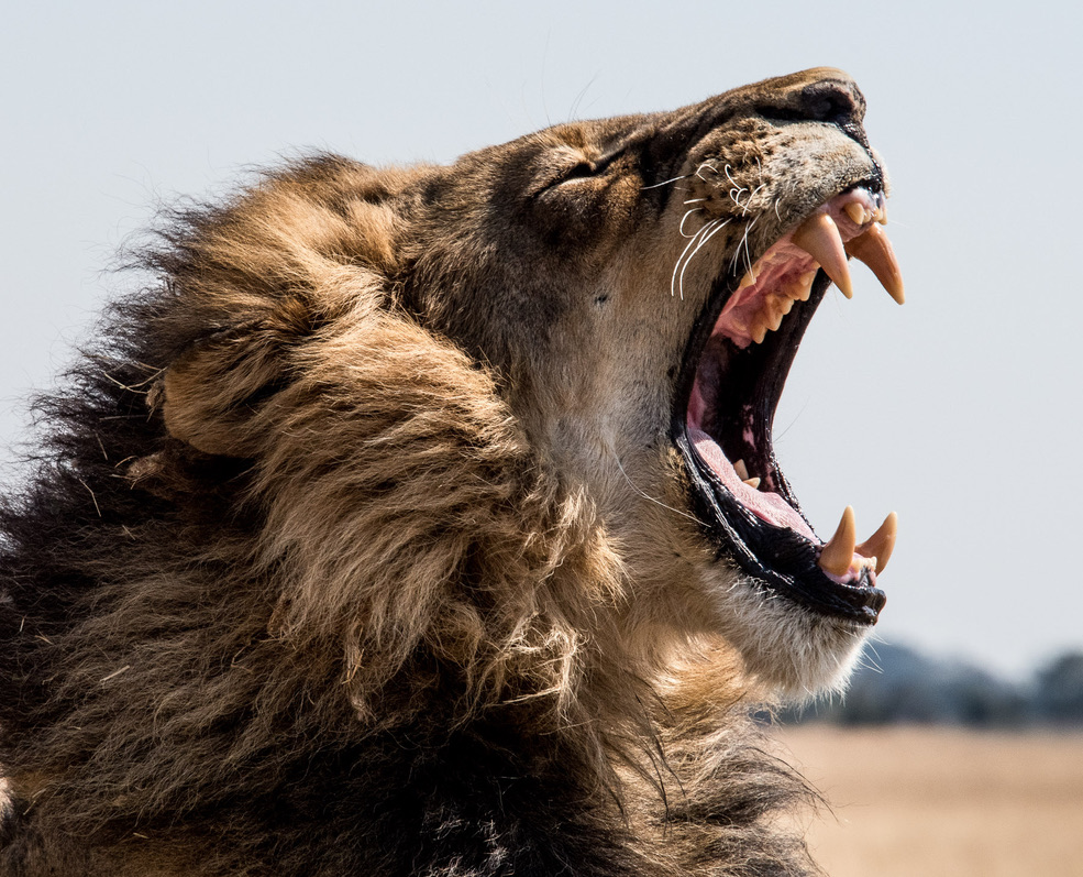 Photography Highlights - Image 9